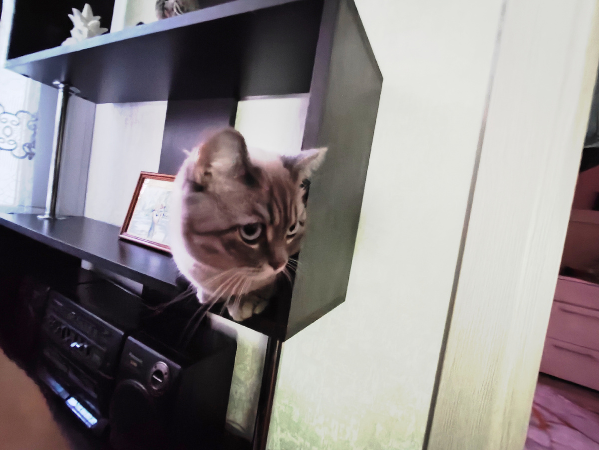 Фото автора 