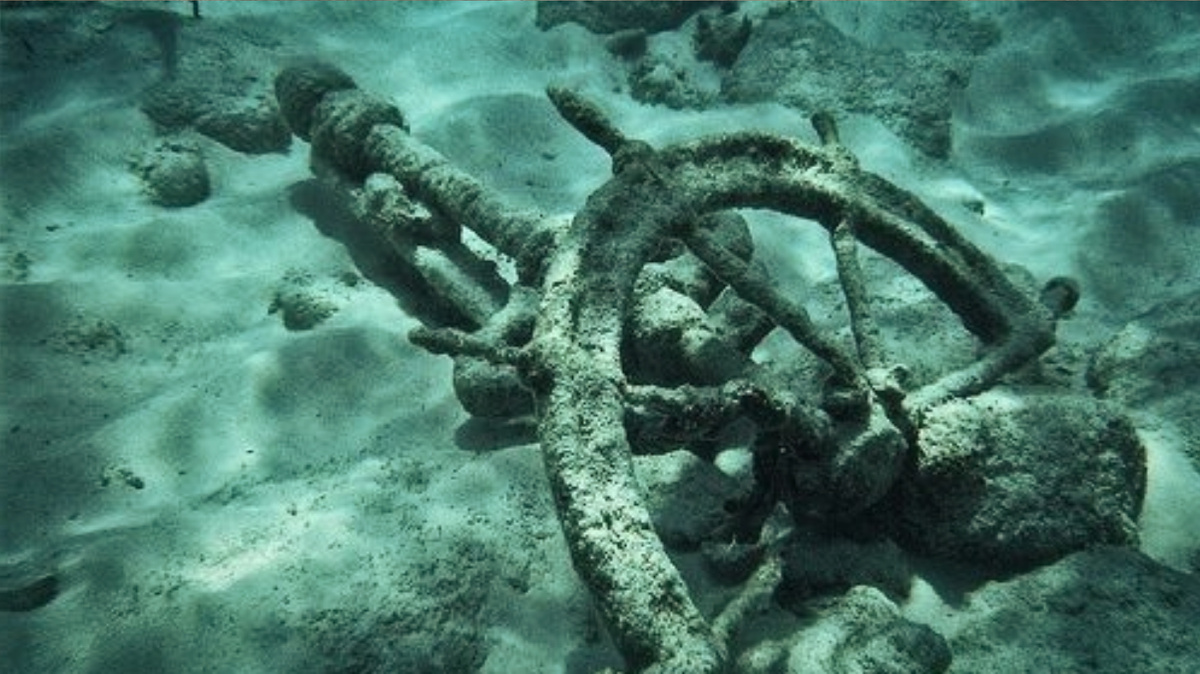 Фотографии, если что, случайные — в данном случае просто для красоты.