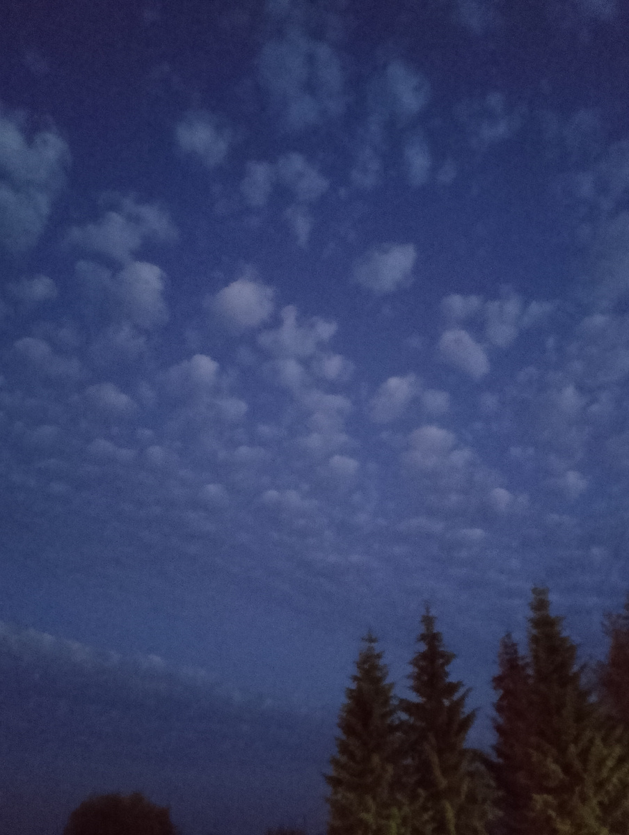 Небо в 00.30 на трассе А-119 в Вашкинском округе Вологодской области во время санитарной остановки, фото автора