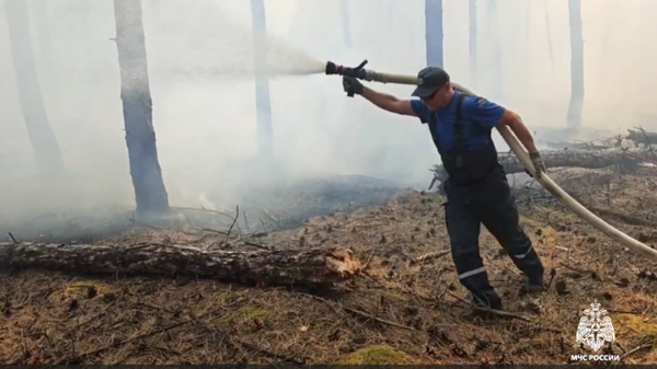    © МЧС России