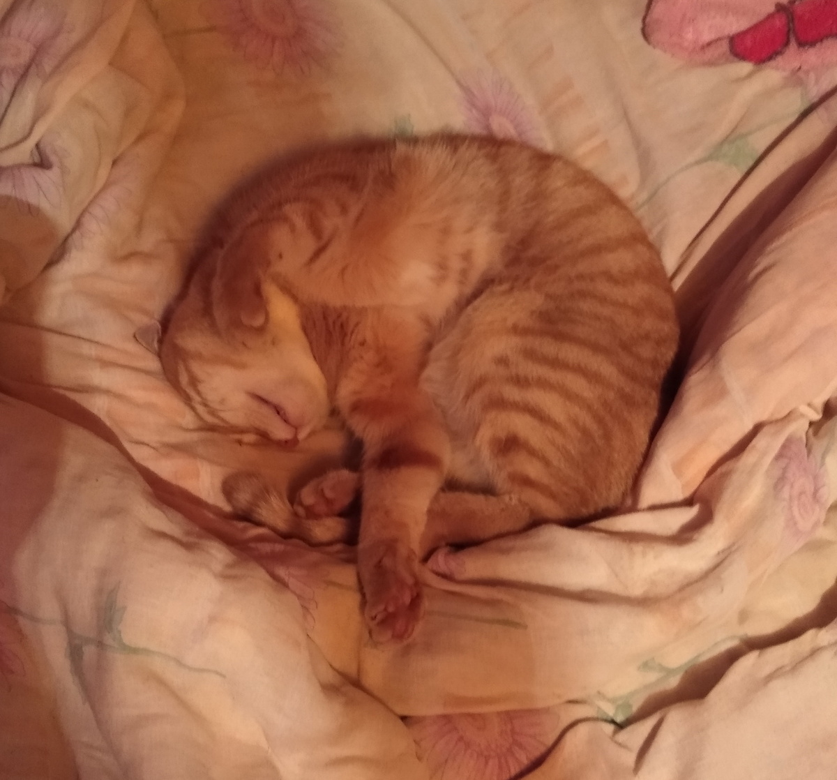 личное фото