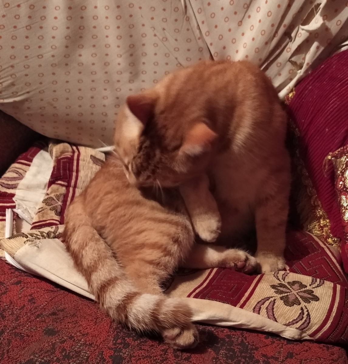 личное фото