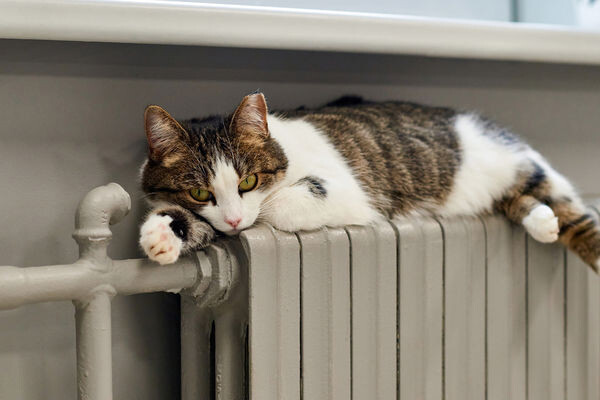 Depositphotos   📷