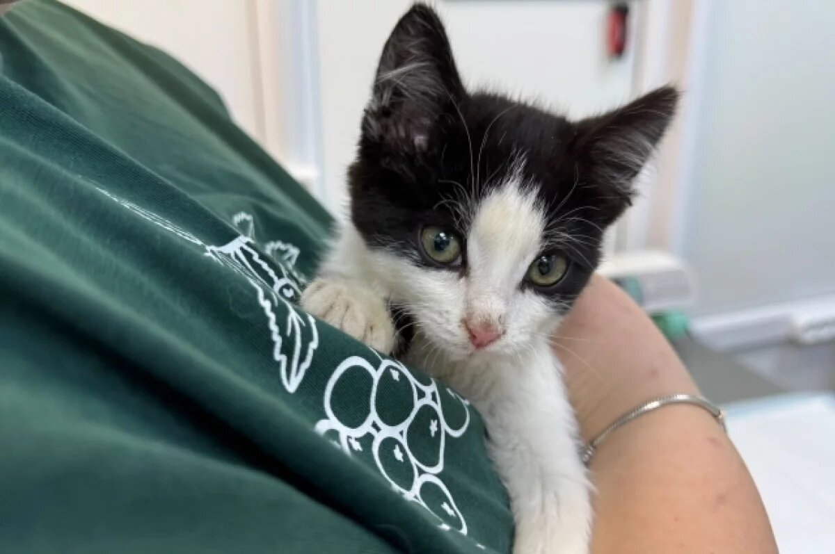    Малыш родился с расстройством координации – атаксией.