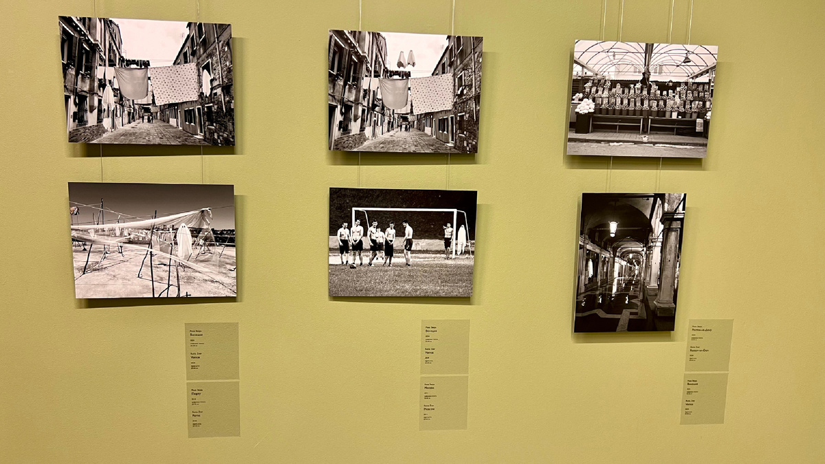 Выставка «Привиделось»