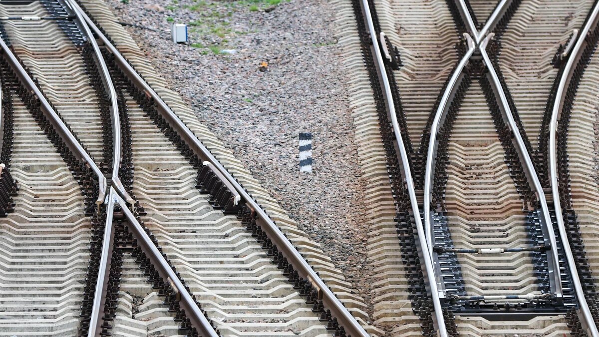    Фото: Belkin Alexey/news.ru/globallookpress.com