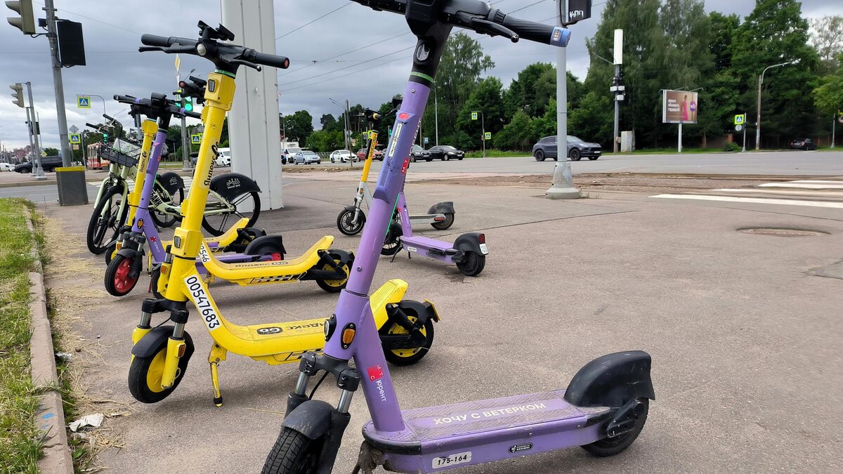    Фото: Maksim Konstantinov/globallookpress.com