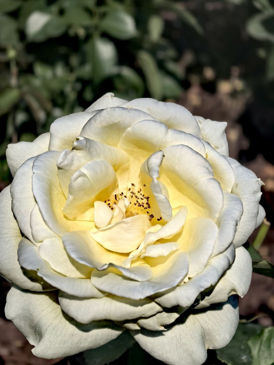 Авторское фото