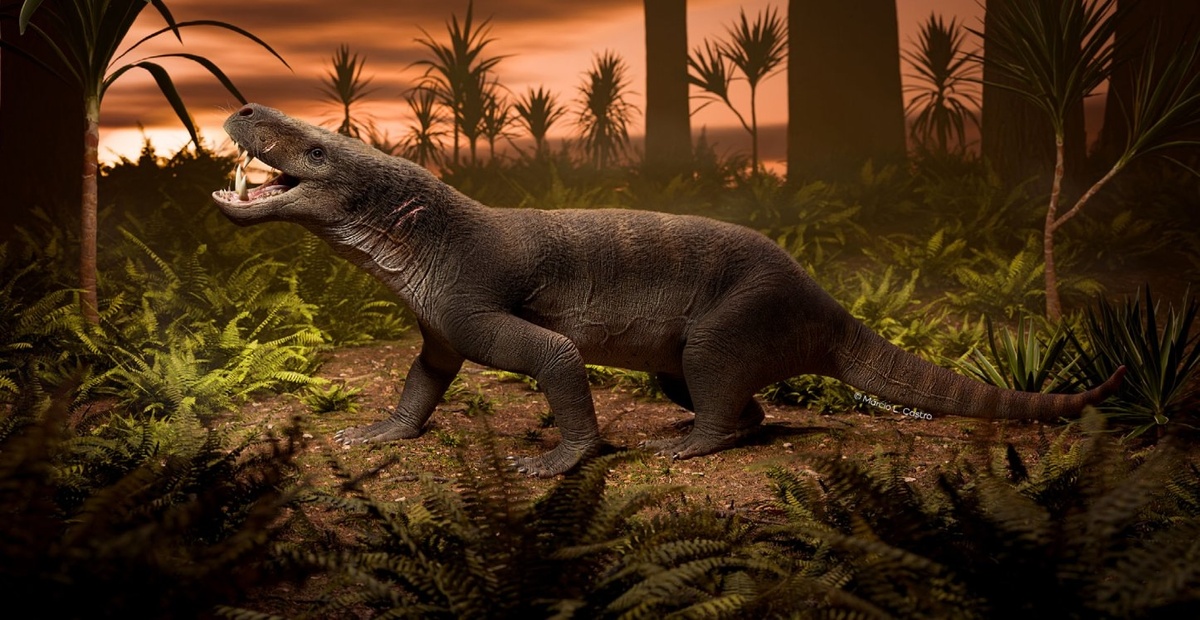 Труцидоцинодон в естественной среде обитания.