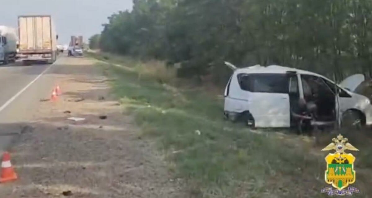    Скриншот видео пресс-службы ГУ МВД России по Краснодарскому краю