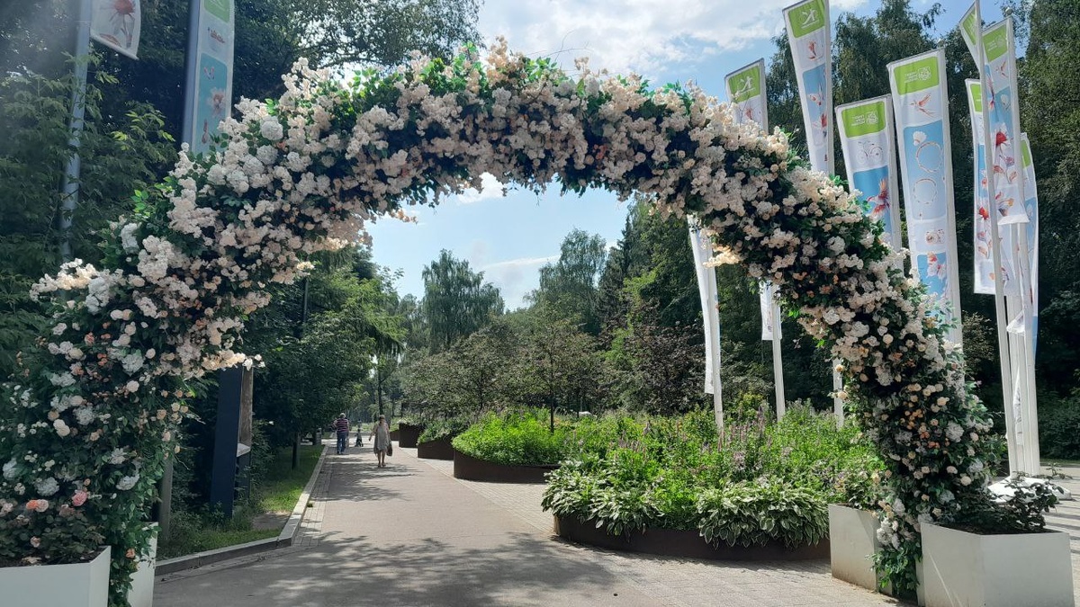 Лето в Москве. парк Кузьминки