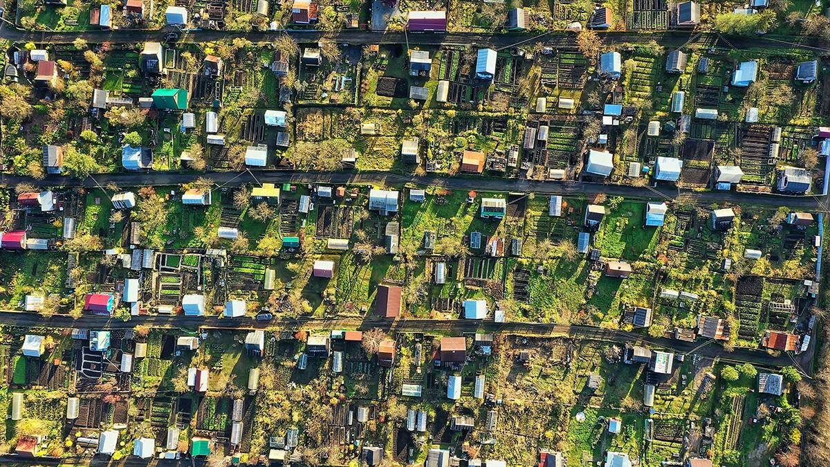    Фото: Shutterstock