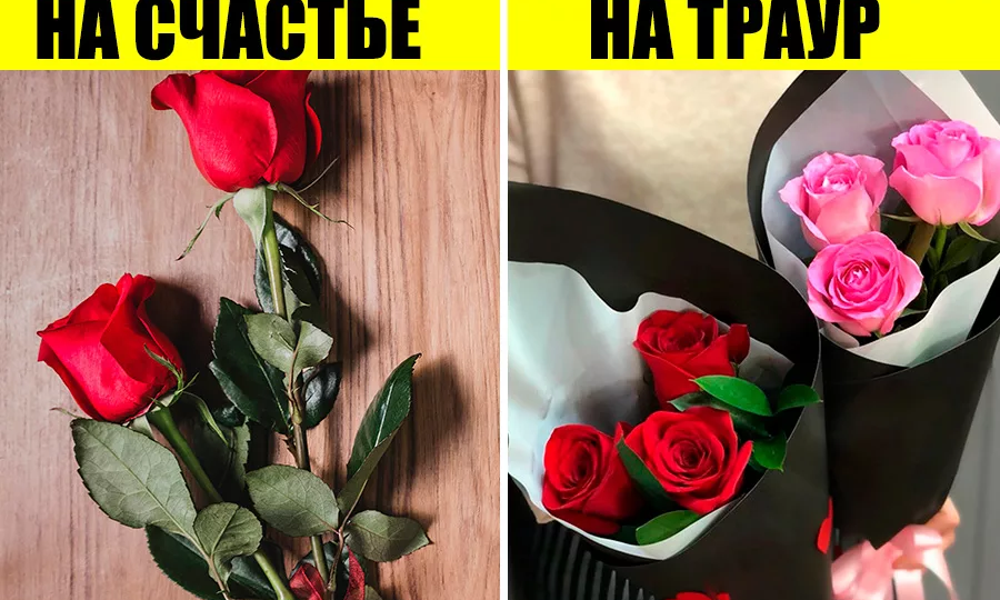 Почему у нас живым дарят нечётное число цветов, а на Западе наоборот
