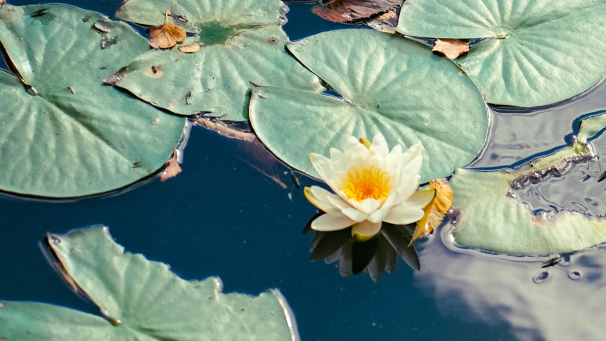 Светлана Мулыкина📷
