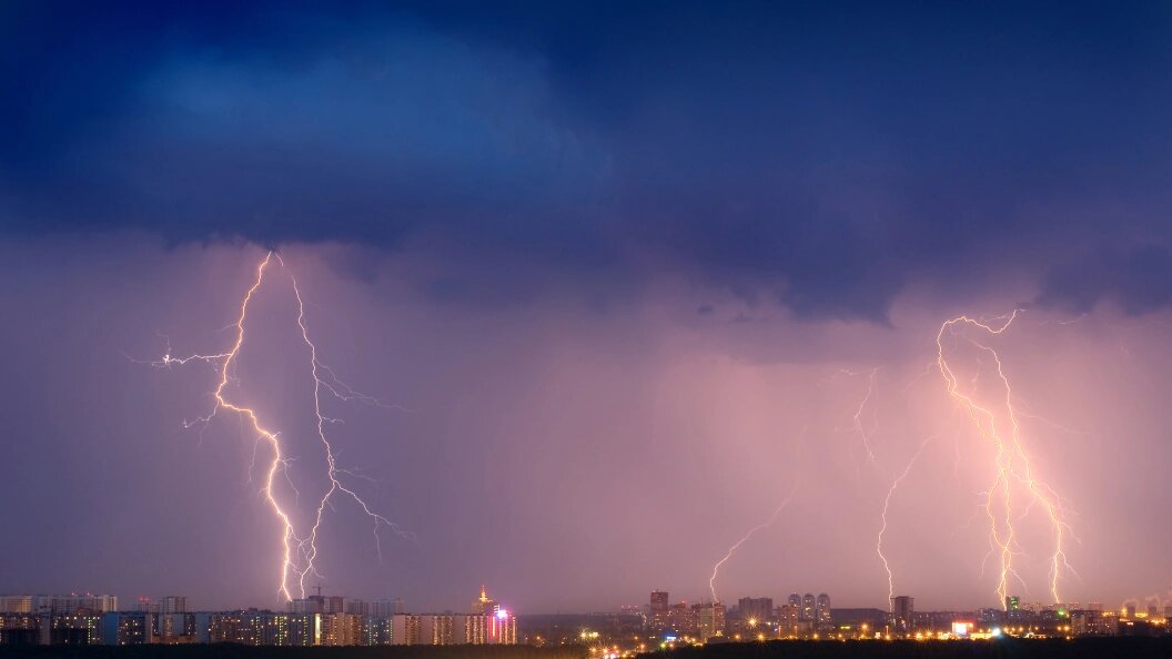    Фото: Yury Dmitrienko/shutterstock