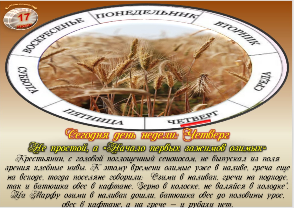 Встречаем новый день