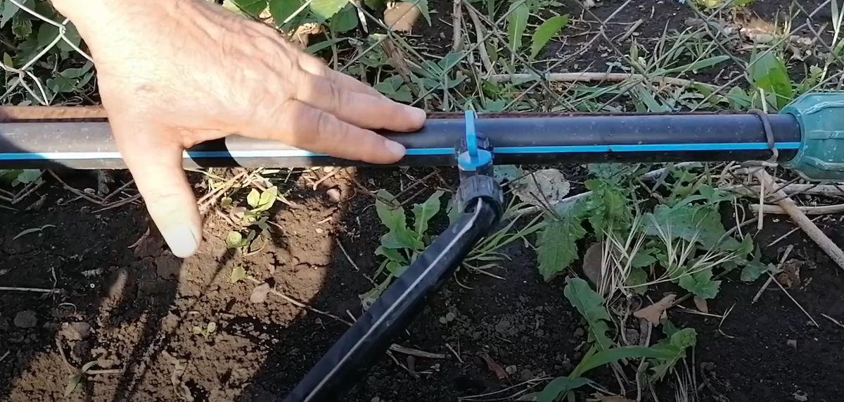 Это полиэтиленовая труба, на которой устаналиваю краники. 