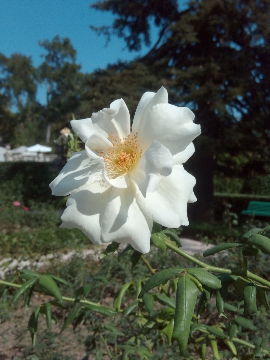 Листайте вправо.