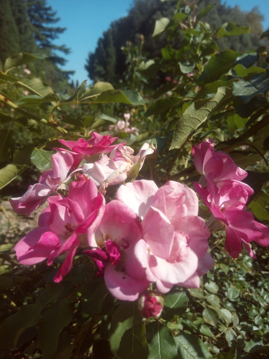 Листайте вправо