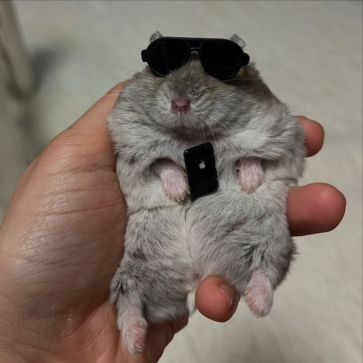 Фото: ru.pinterest.com