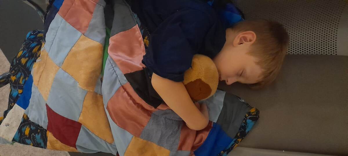 Тёма и найдёныш от друга 