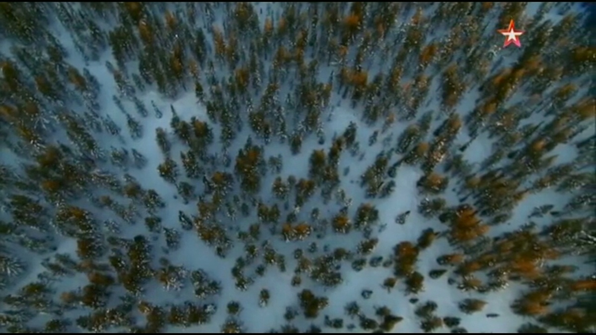 Взято прямо из телевизора. 