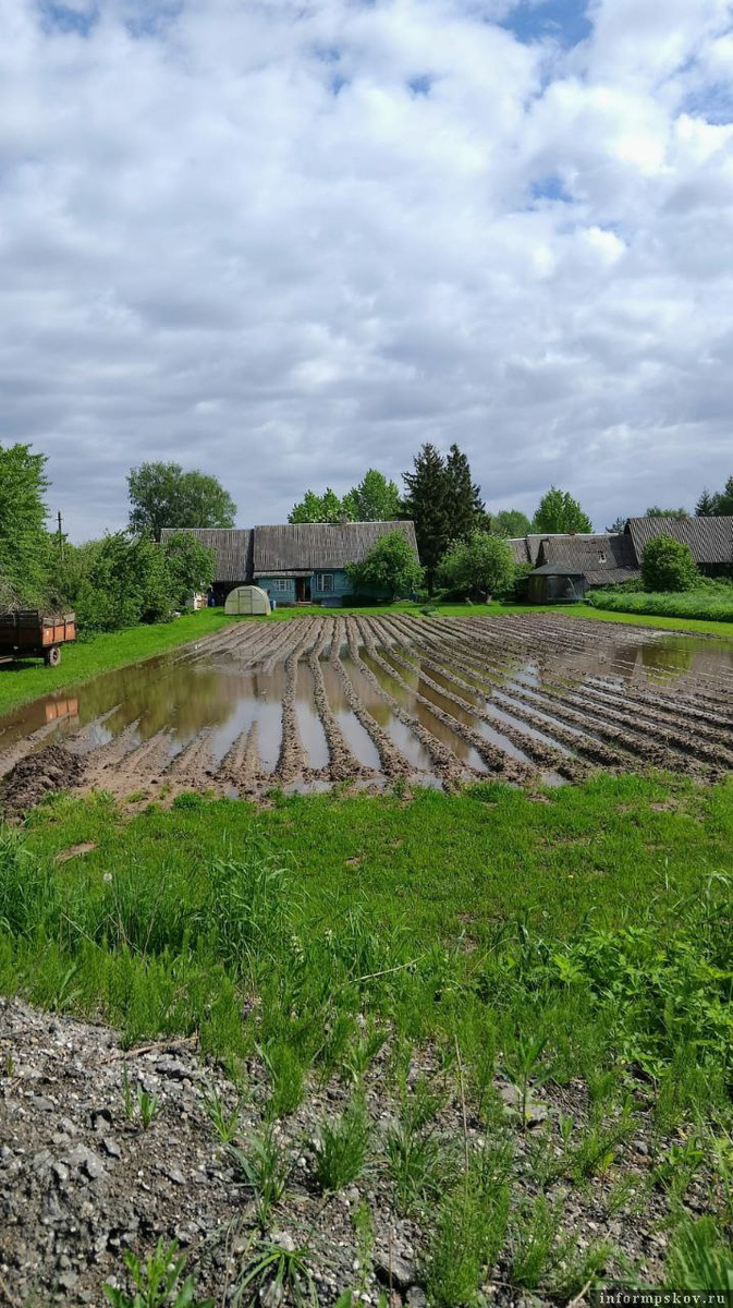 Фото из архива Николая Бесклёвного