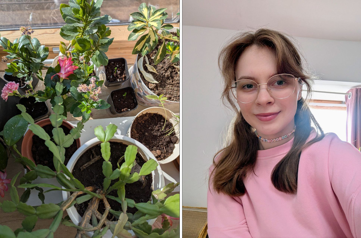 Я и мои зелёные питомцы 🌿 Мои первые малыши-цитрусы тоже есть на фото 😊