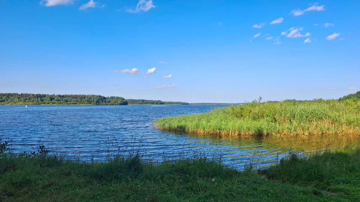 Ульяново. река Шексна.