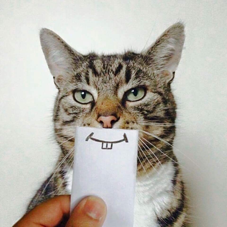 Фото: ru.pinterest.com