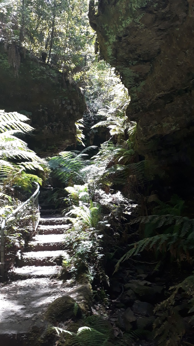 Здесь много вертикальных картинок, соберу их в одном месте, чтобы не растягивать текст. Это спуск. Листайте вправо.