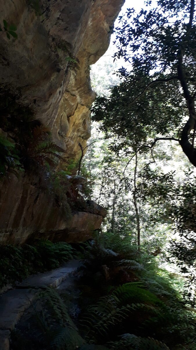 Тропа прямо по стене