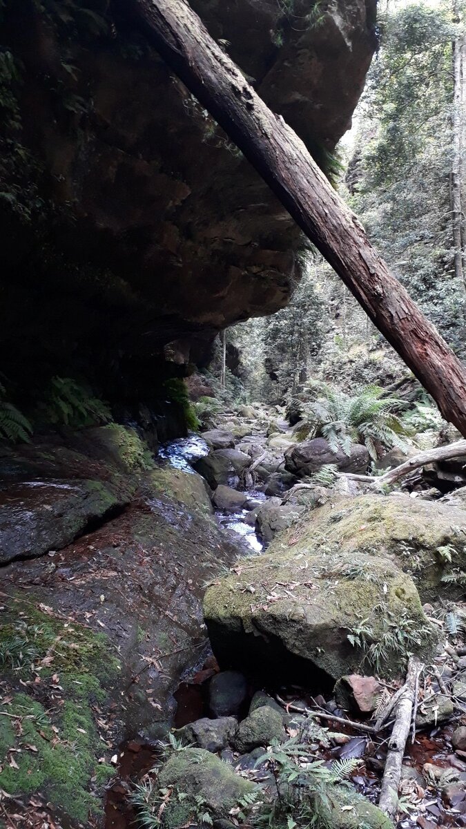 Это уже внизу. Камни скользкие.