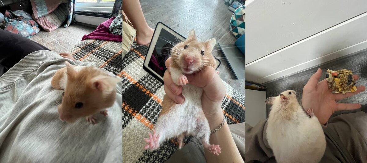 На фотке с Тишей в руке у меня печенье, которое я делала сама;)