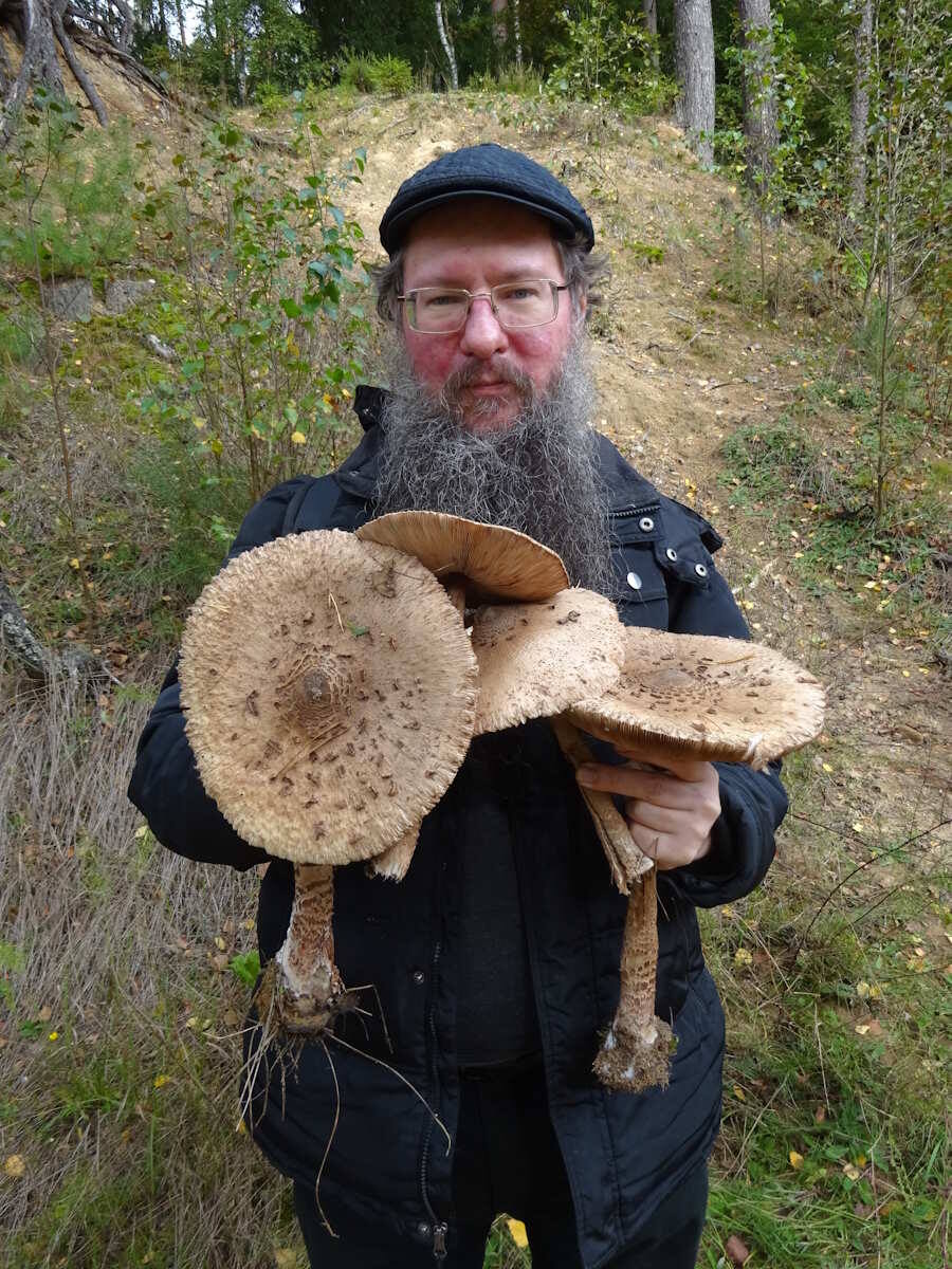 Автор и зонтики