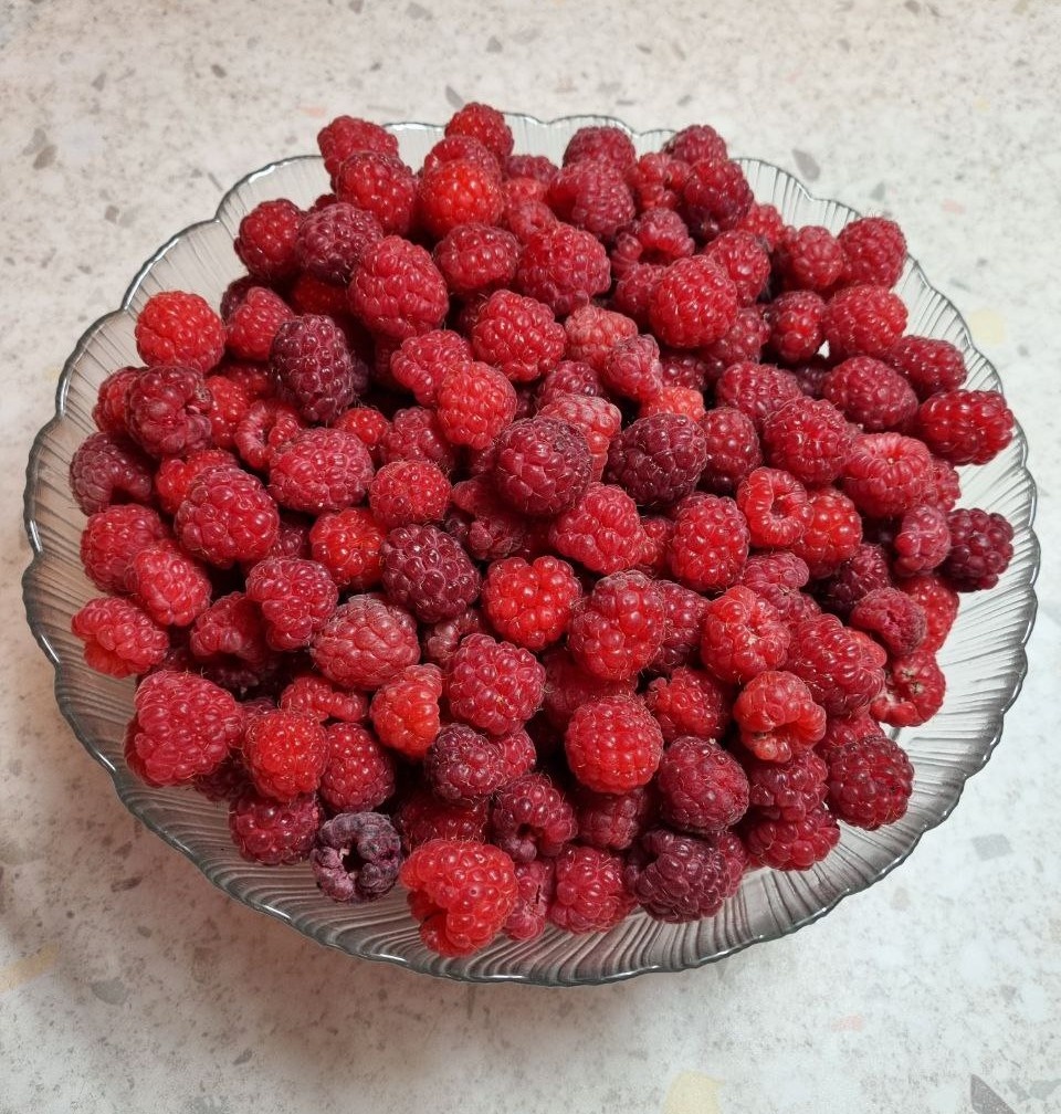 Ягода малина нас к себе манила!