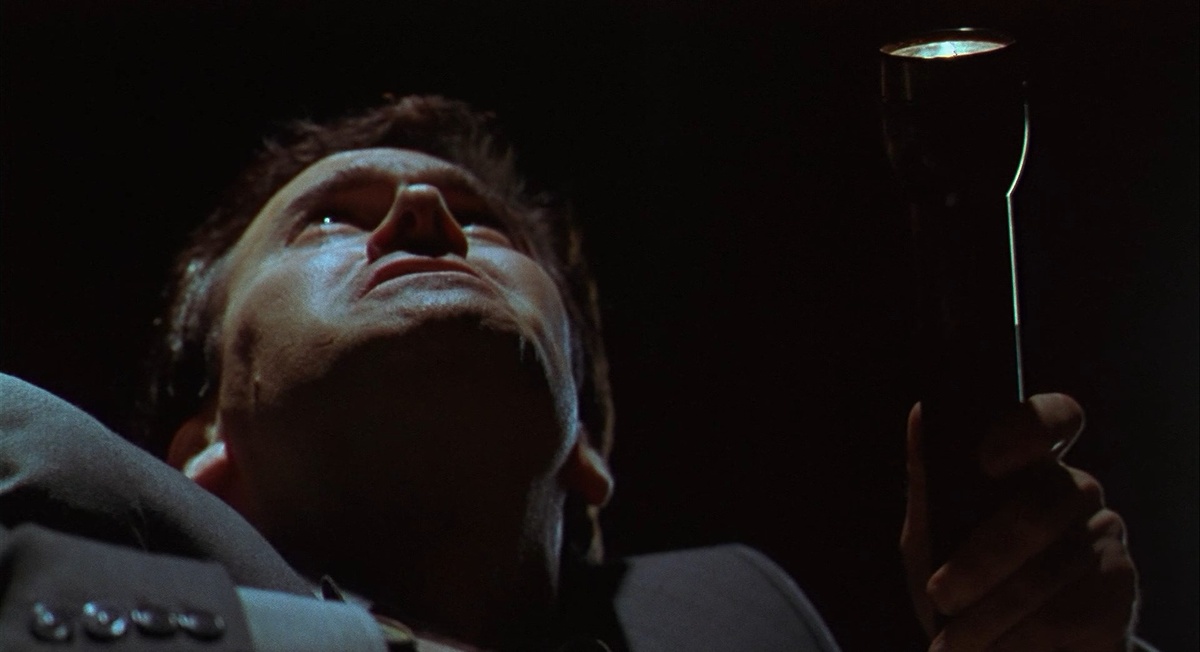 Во вступительной сцене снялся друг Шпигеля и Рэйми, Брюс Кэмпбелл. 