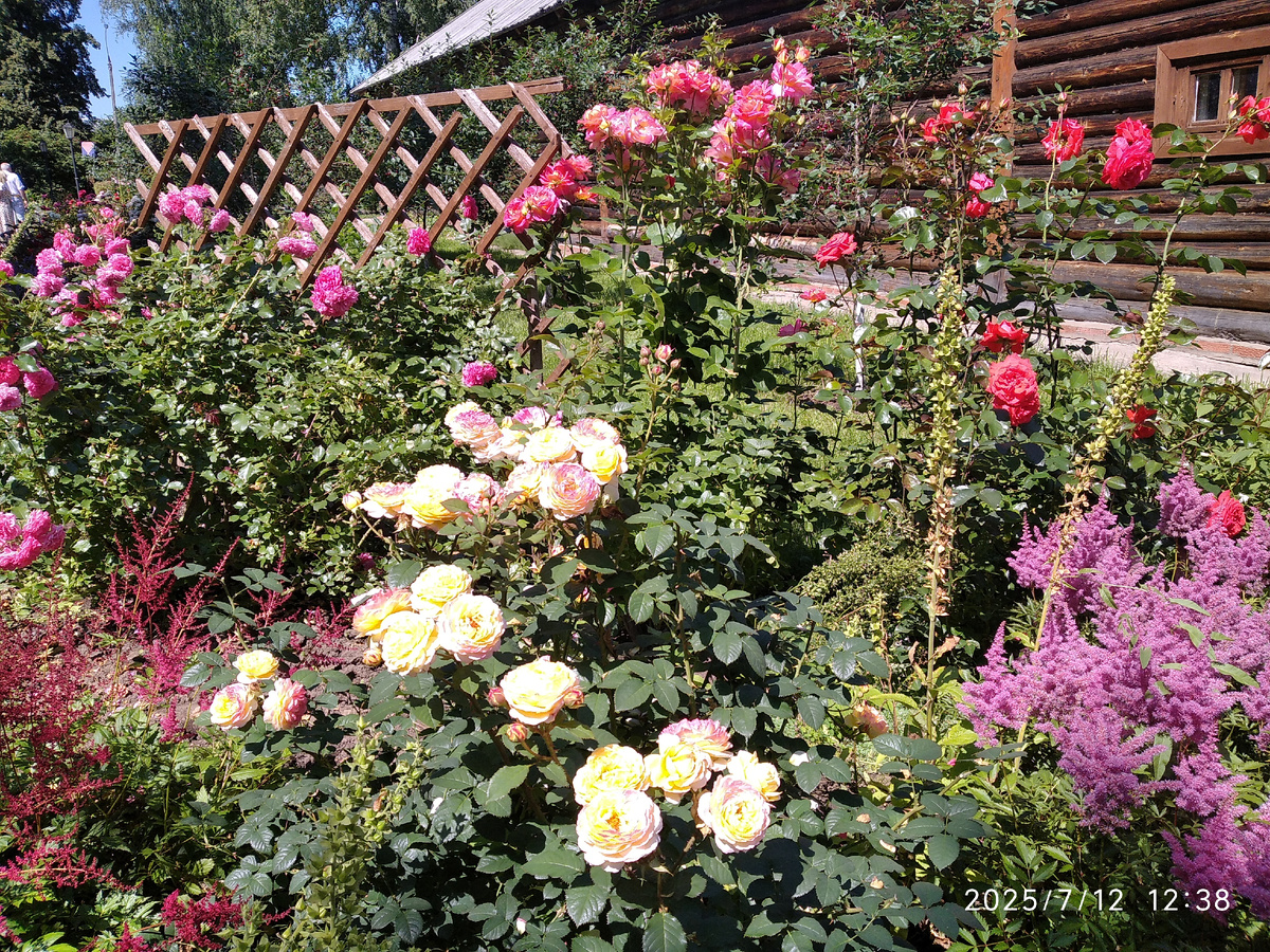 Все фотографии в галерее мои