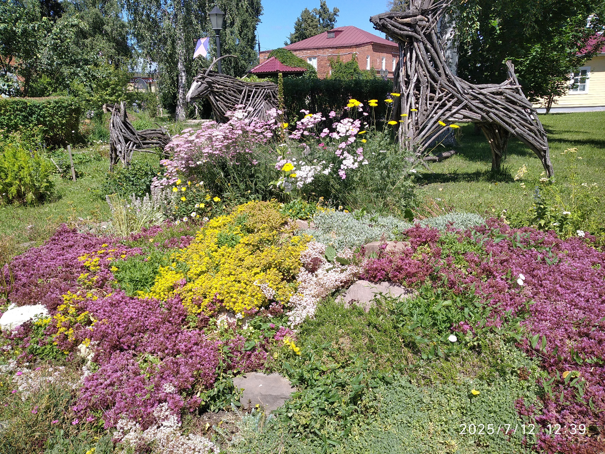 Альпийская горка (все фотографии в галерее мои)