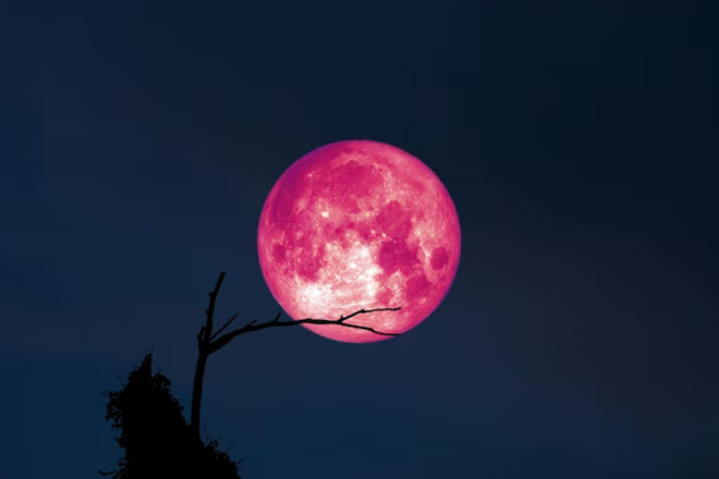 Фото: Яндекс Картинки