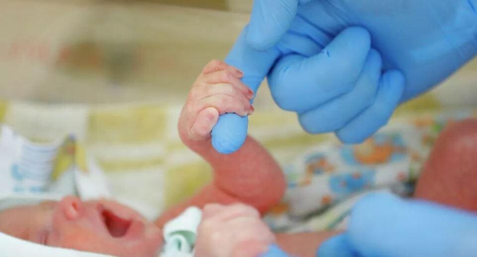    РИА «Новости»