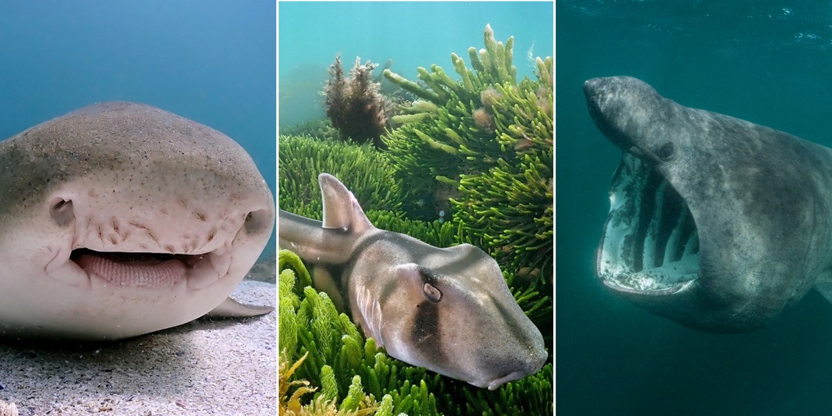 Лайфхакера