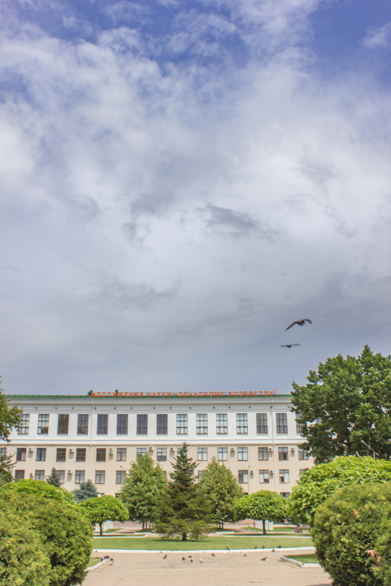 Старый главный корпус КубГАУ