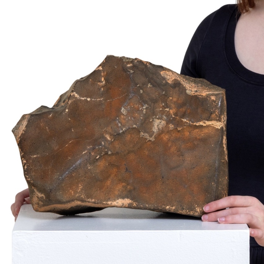 Метеорит NWA 16788 за 4,3 млн долларов