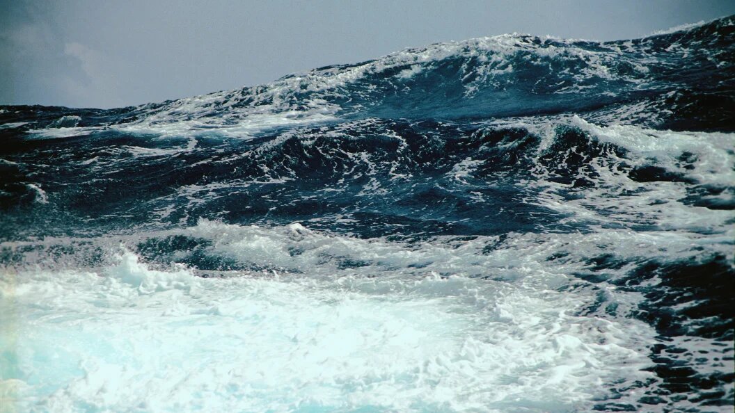    Yury Maslyaev/Russian Look/Globallookpress