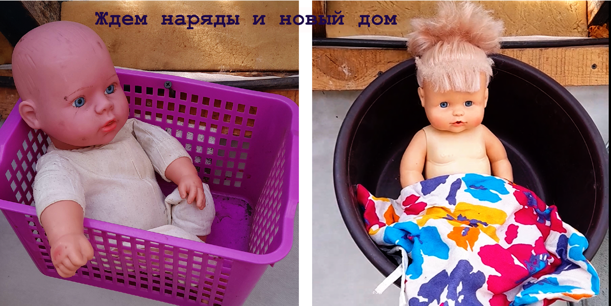 Коллаж автора канала