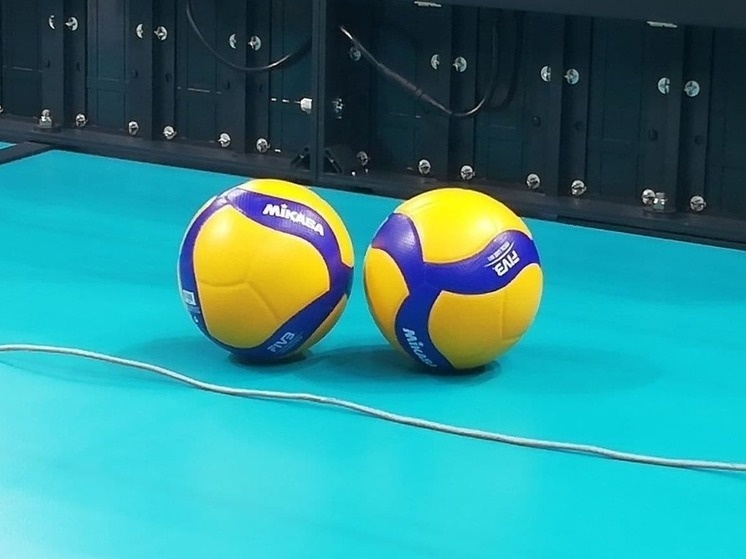     Белгородские волейболисты приступили к тренировкам, фото: Илья Романов