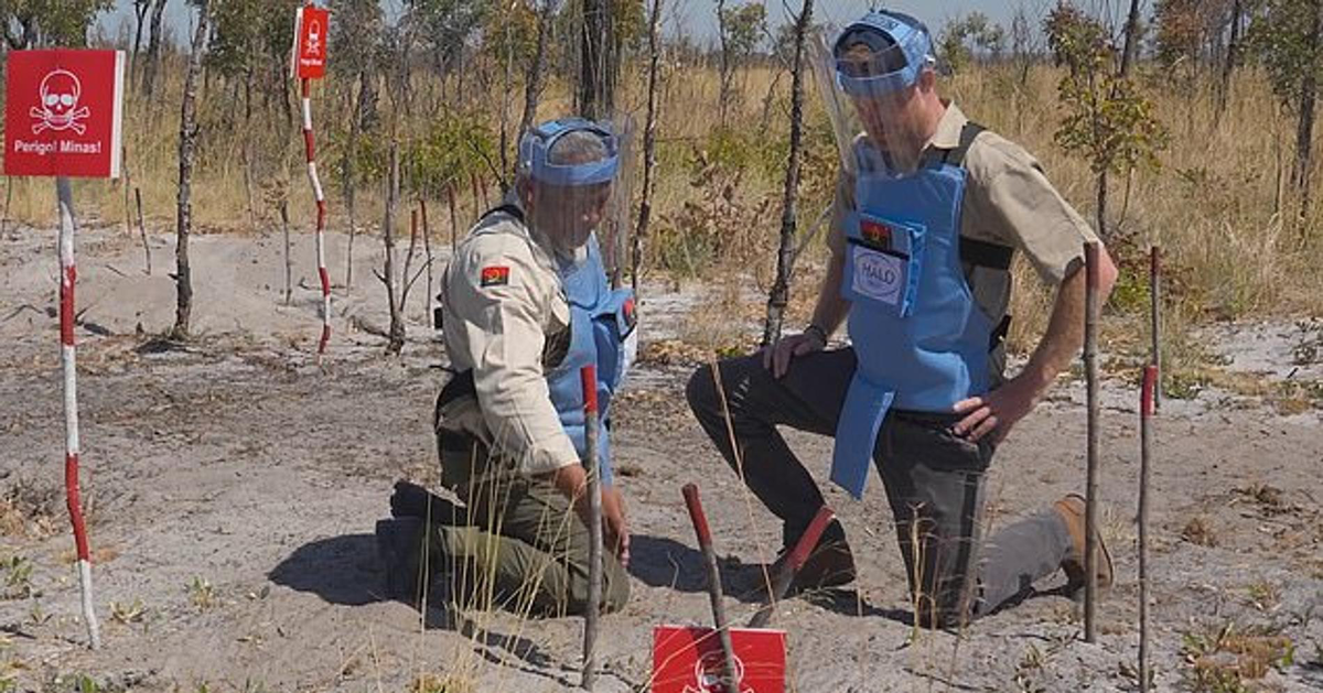     Принц Гарри с благотворительной миссией в Анголе в 2025 году. Фото: Daily Mail