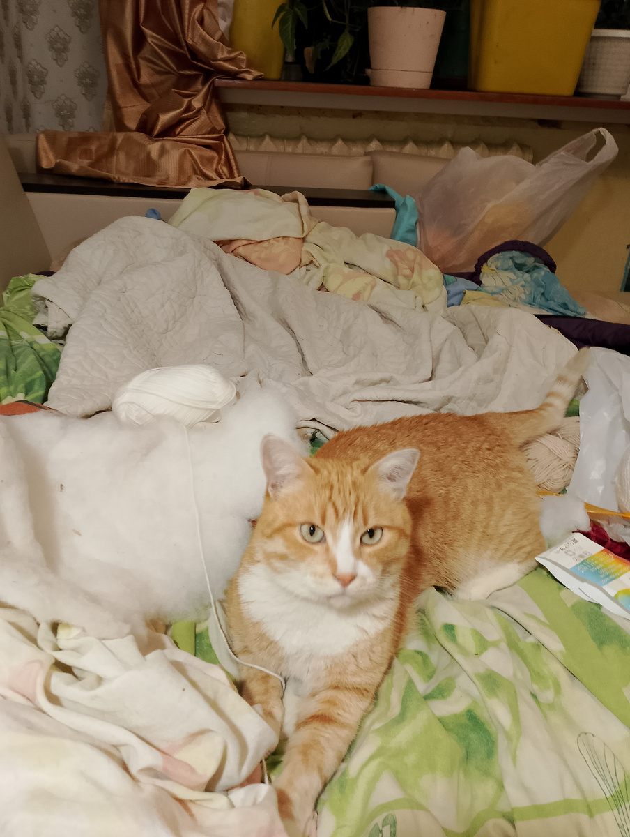 Кот помогает мне 