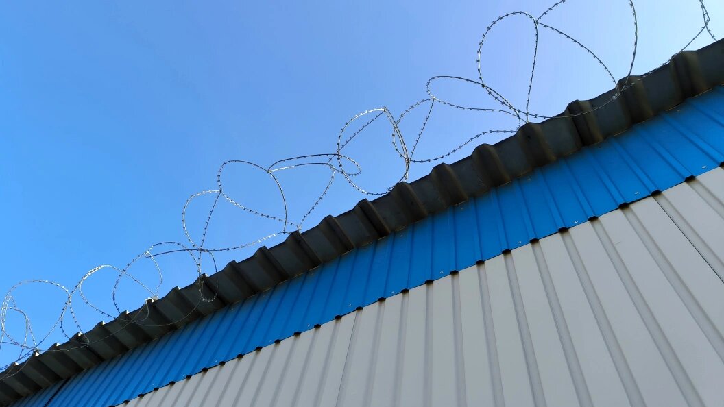    Максим Константинов/Globallookpress